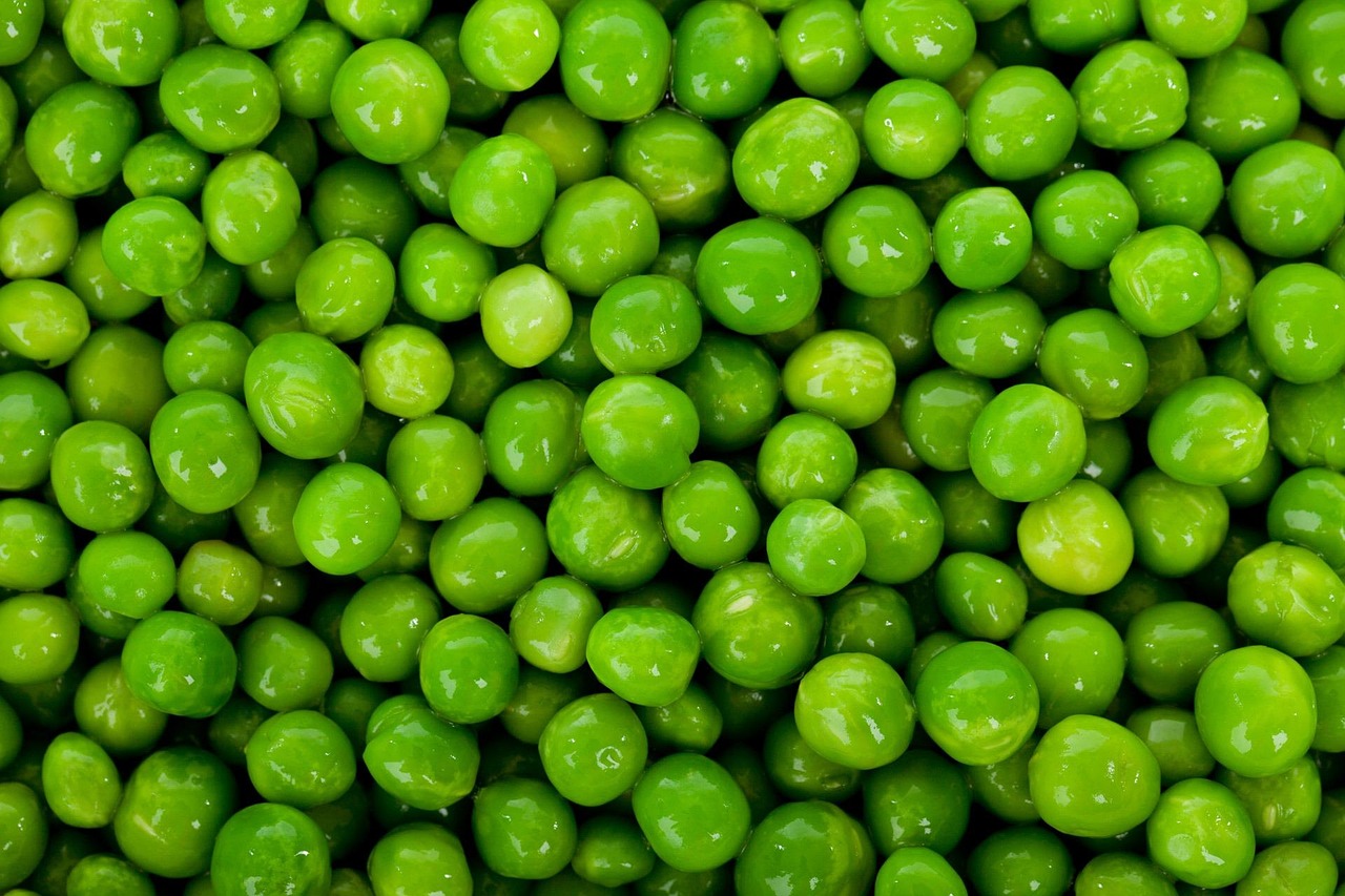 découvrez les substituts d'origine végétale, une alternative saine et écologique aux produits d'origine animale. apprenez comment intégrer ces options délicieuses dans votre alimentation pour un mode de vie durable.