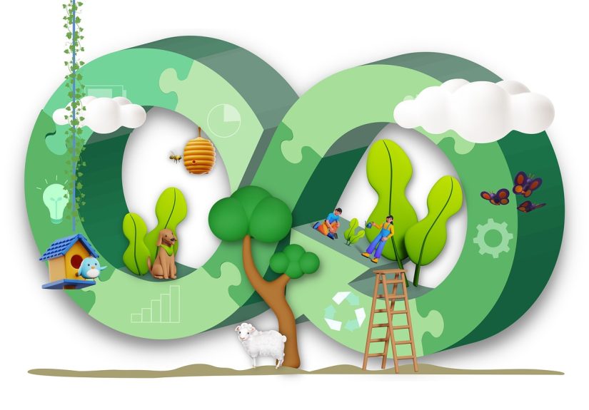 découvrez le potentiel incroyable des énergies renouvelables et comment elles redéfinissent notre avenir énergétique. explorez les différentes sources d'énergie durables, leurs avantages écologiques et économiques, ainsi que les innovations qui transforment notre rapport à l'énergie.