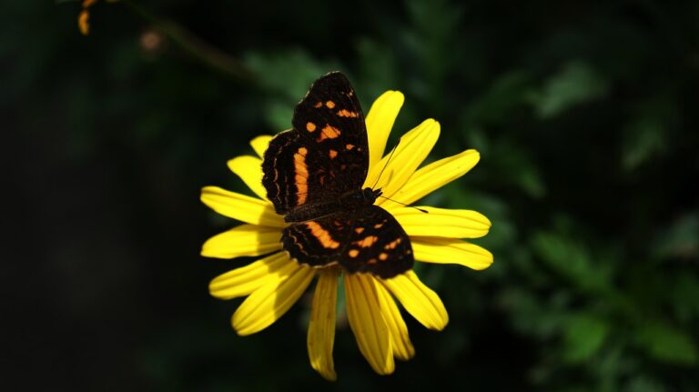 g490f6ceabcef42b4a28097af447ef48747060b1db5acf1f7e5b42620ee209f1e491c440dc043269adb6d8d20dfa2663313a0ee31f27ec28feb35185dd594f2ce_1280