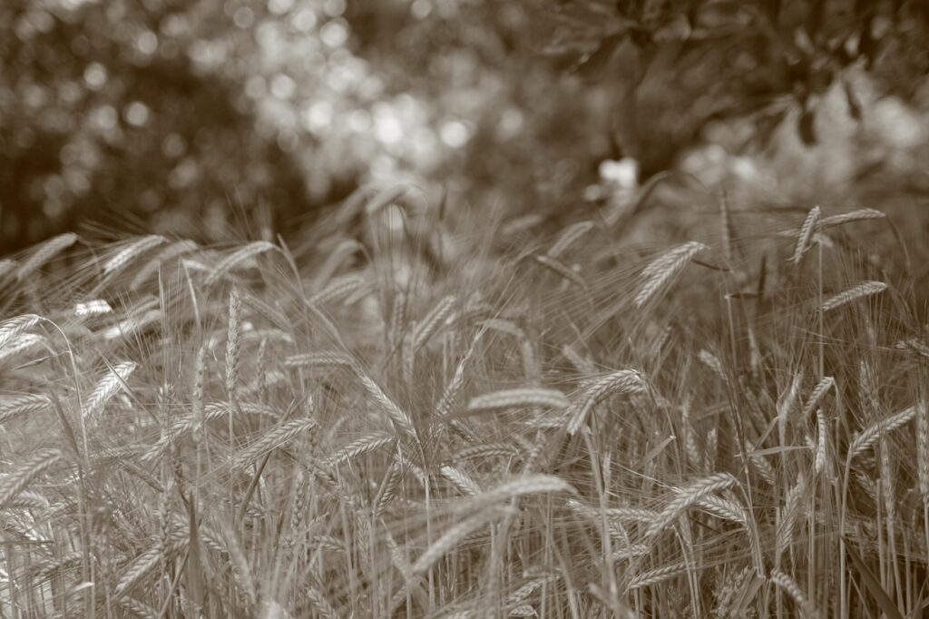 gce4b6b7d68b30a6ee8f3ca86370d1c17834b184f1d71ef2138bdb72b18f44b17a2e6bca706085158932bbc322ec8e66ad8e105cda55c795d14327ddd39a7b1f9_1280