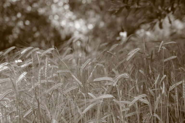 gce4b6b7d68b30a6ee8f3ca86370d1c17834b184f1d71ef2138bdb72b18f44b17a2e6bca706085158932bbc322ec8e66ad8e105cda55c795d14327ddd39a7b1f9_1280