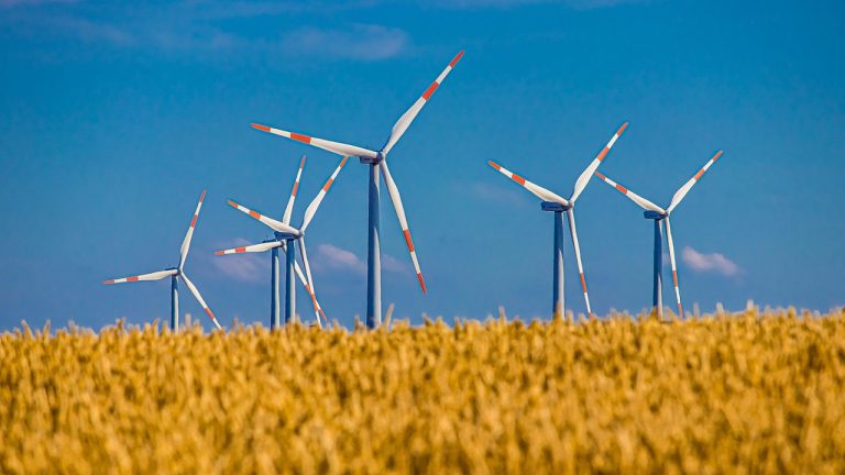 découvrez les solutions de financement durable qui favorisent une croissance économique responsable tout en préservant l'environnement. explorez des approches innovantes pour soutenir des projets écologiques et socialement responsables.