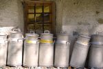 découvrez les pratiques innovantes de production laitière durable qui allient respect de l'environnement, bien-être animal et qualité des produits laitiers. explorez des méthodes qui minimisent l'impact écologique tout en garantissant une production efficace et responsable.