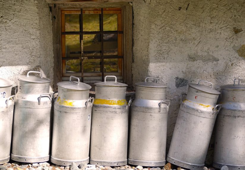 découvrez les pratiques innovantes de production laitière durable qui allient respect de l'environnement, bien-être animal et qualité des produits laitiers. explorez des méthodes qui minimisent l'impact écologique tout en garantissant une production efficace et responsable.