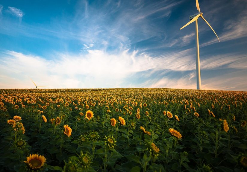 découvrez les dernières tendances et innovations en matière d'énergie renouvelable. explorez des solutions durables pour un avenir énergétique éco-responsable, incluant l'énergie solaire, éolienne et hydraulique.
