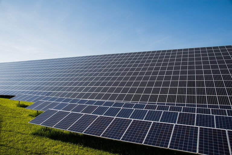 découvrez comment la transition écologique transforme notre société, en favorisant des pratiques durables et respectueuses de l'environnement pour un avenir plus vert.