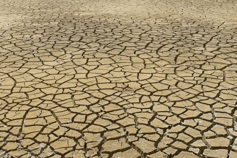 découvrez les causes, conséquences et solutions au changement climatique à travers des analyses, des actualités et des conseils pour agir au quotidien afin de protéger notre planète.
