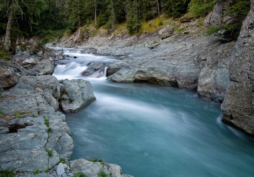 découvrez tout sur l'environnement : actualités, conseils et solutions pour protéger la planète, lutter contre le changement climatique et adopter un mode de vie écoresponsable.