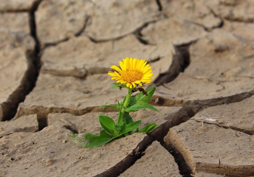 découvrez comment renforcer la résilience climatique en adoptant des stratégies et des solutions innovantes pour s'adapter aux changements climatiques et protéger les communautés face aux événements extrêmes.