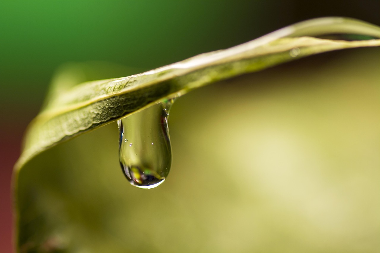 découvrez la publicité écologique : des stratégies innovantes et responsables pour promouvoir votre marque tout en respectant l’environnement. optez pour des campagnes publicitaires durables et éthiques !