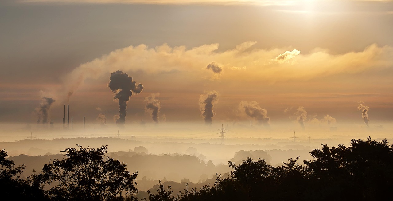 découvrez ce qu’est l’étiquetage environnemental, son importance pour informer les consommateurs sur l’impact écologique des produits, et comment il favorise des choix responsables et durables.