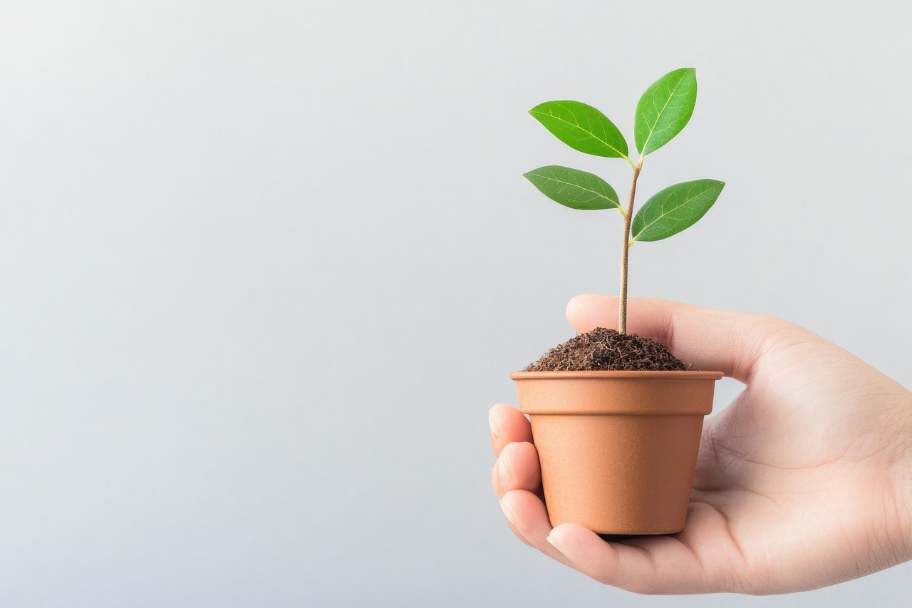 découvrez les meilleures stratégies et solutions pour favoriser une croissance durable, respecter l'environnement et assurer la prospérité à long terme de votre entreprise.