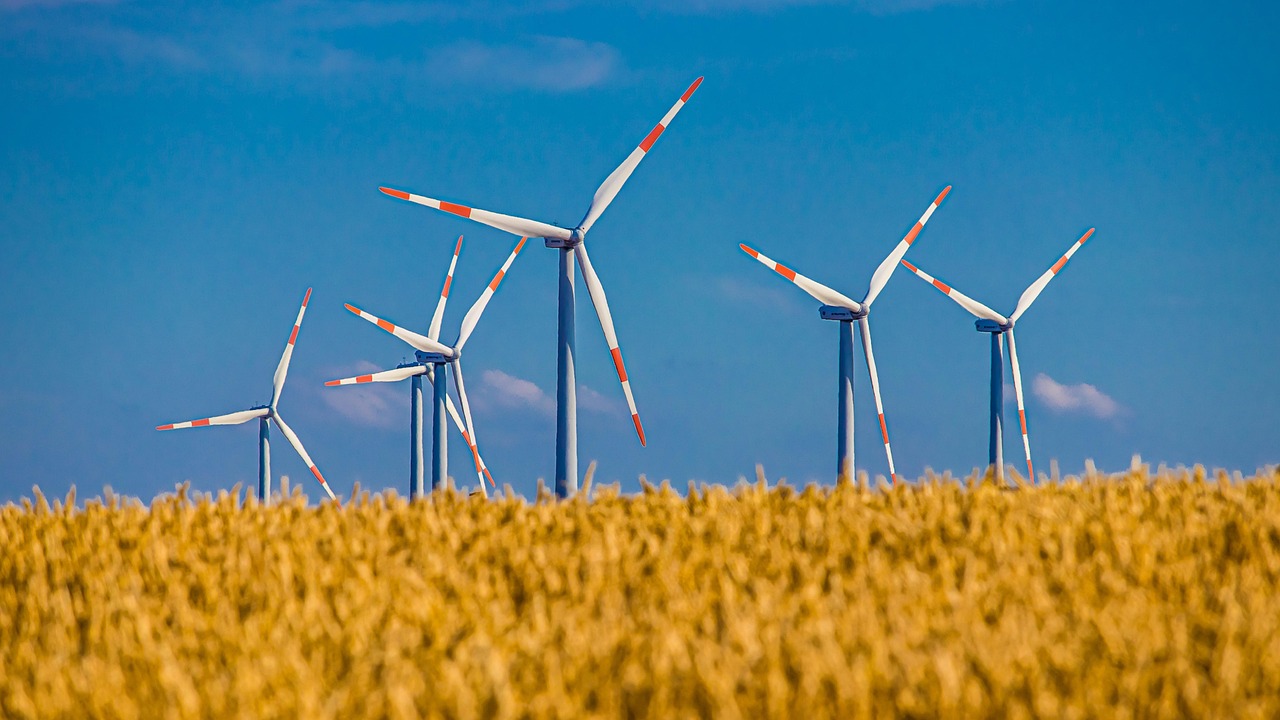 découvrez comment le tourisme durable favorise la préservation de l’environnement, le respect des cultures locales et le développement responsable des destinations à travers des conseils et des exemples inspirants.