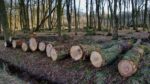 découvrez les causes et conséquences de la déforestation en amazonie, son impact sur l’environnement, la biodiversité et les solutions pour préserver cette forêt essentielle à l’équilibre de la planète.