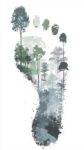 découvrez ce qu'est l'empreinte écologique, comment elle mesure l'impact de nos modes de vie sur la planète, et des conseils pratiques pour la réduire au quotidien.