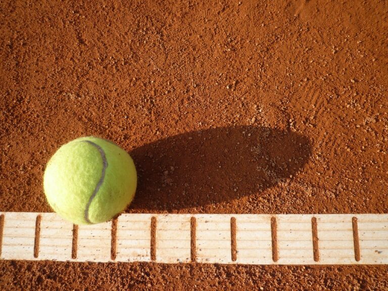 découvrez tout sur le tennis : actualités, conseils, techniques, tournois et astuces pour progresser, que vous soyez débutant ou joueur confirmé !