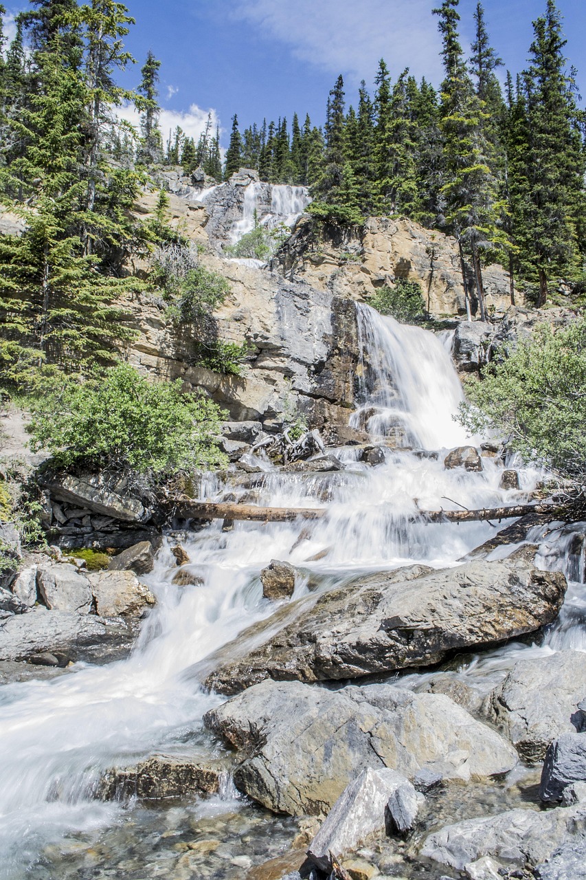 découvrez les principaux défis écologiques actuels, leurs causes et les solutions possibles pour préserver l'environnement et assurer un avenir durable.