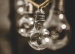 découvrez comment adopter des pratiques durables pour préserver l'environnement, améliorer votre quotidien et contribuer à un avenir plus responsable grâce à la durabilité.