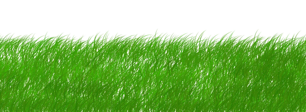 découvrez comment la durabilité façonne un avenir meilleur grâce à des pratiques éco-responsables, des innovations vertes et des solutions pour préserver l'environnement au quotidien.