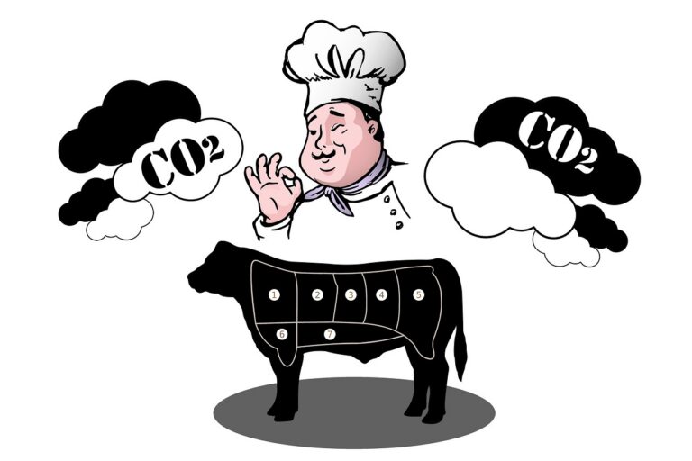 découvrez ce qu'est l'empreinte carbone, comment la mesurer et des conseils pratiques pour la réduire afin de protéger l'environnement.