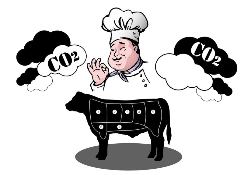 découvrez ce qu'est l'empreinte carbone, comment la mesurer et des conseils pratiques pour la réduire afin de protéger l'environnement.