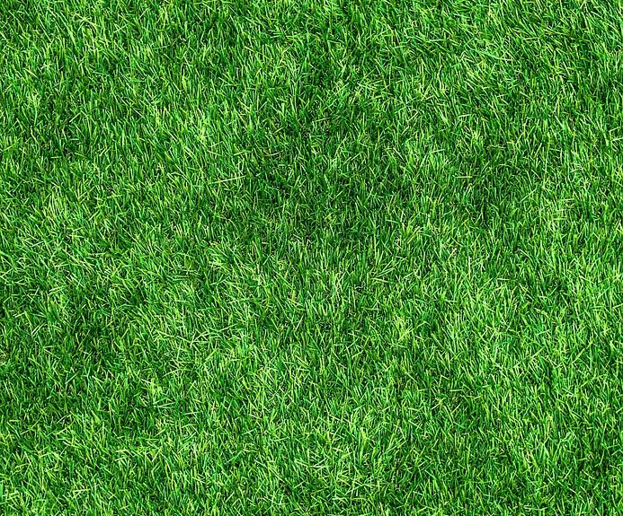 développez des compétences numériques écologiques pour un avenir durable, alliant technologie et respect de l'environnement.