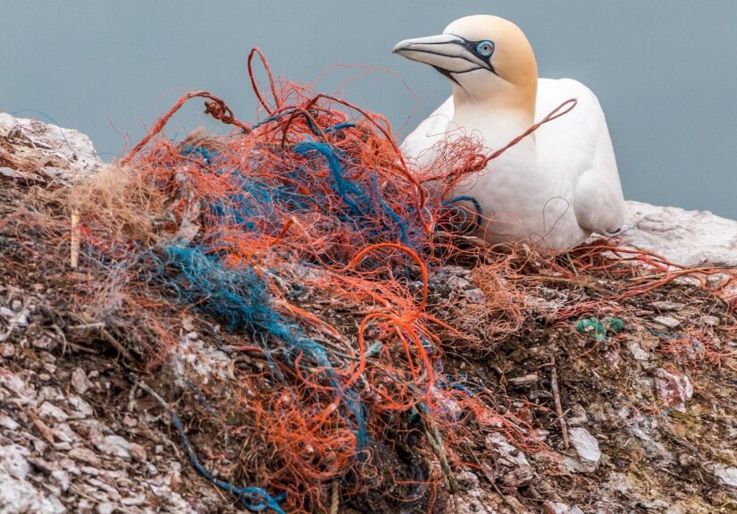 découvrez les impacts de la pollution liée au chauffage au bois et les solutions pour un chauffage plus écologique et durable.