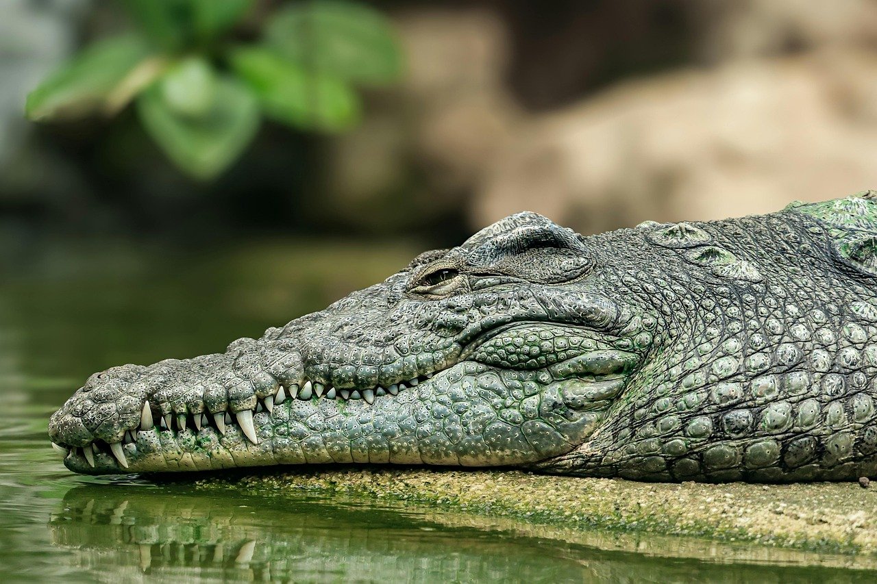 d&eacute;couvrez green habitat zurich, votre sp&eacute;cialiste en solutions &eacute;cologiques et durables pour un habitat respectueux de l'environnement &agrave; zurich.