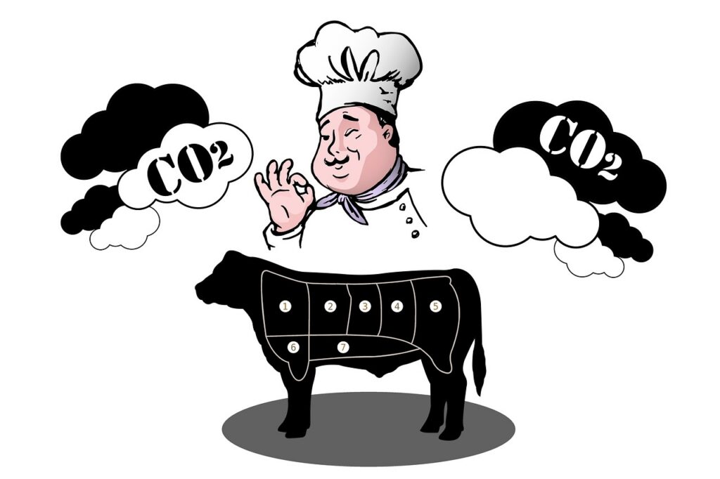 analyse de l'empreinte carbone de la famille royale et de son impact environnemental.