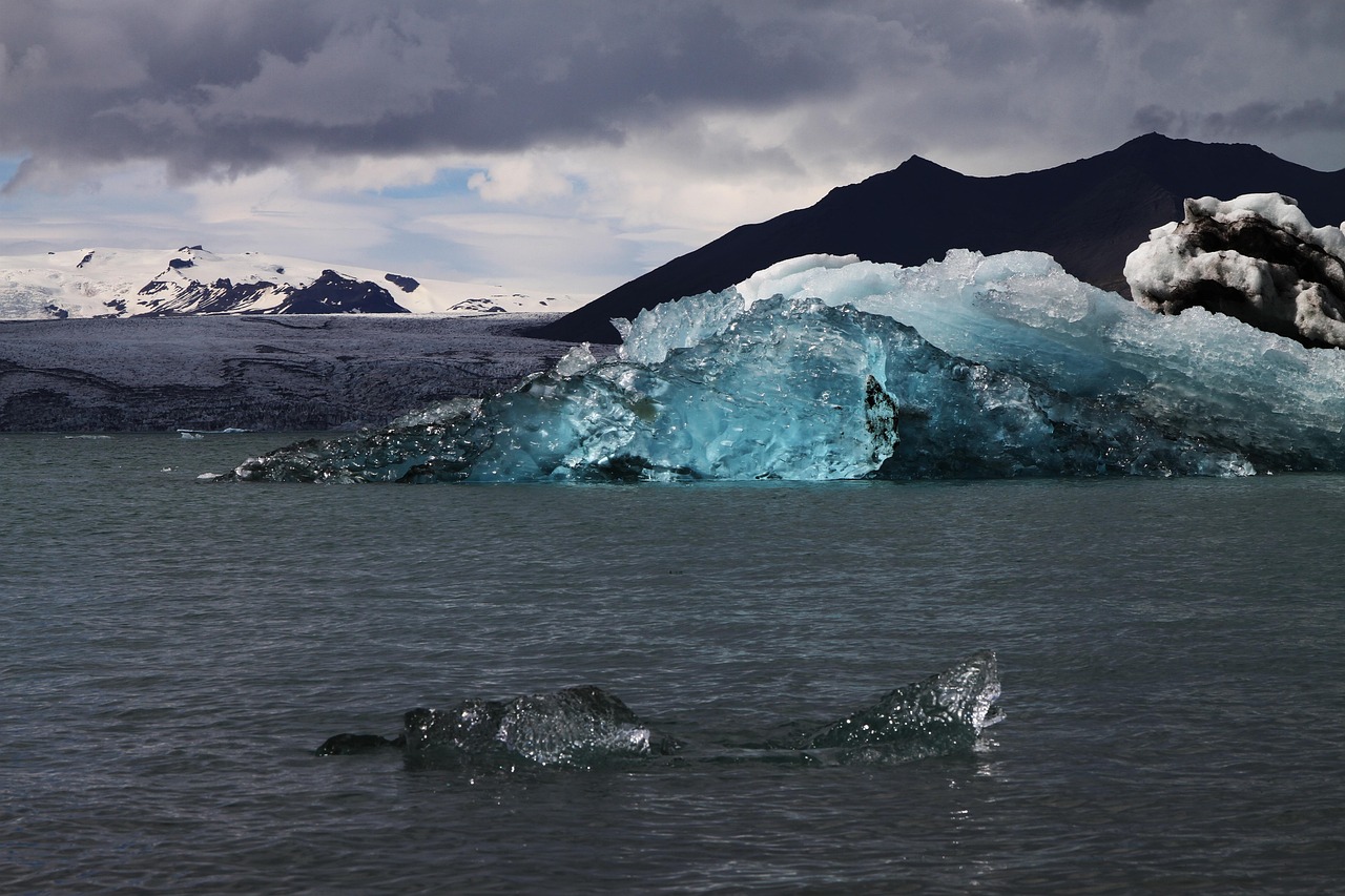 découvrez les glaciers, ces immenses masses de glace qui façonnent les paysages et témoignent des changements climatiques. apprenez leur formation, leur évolution et leur importance écologique.
