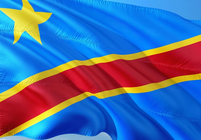 d&eacute;couvrez la richesse exceptionnelle des for&ecirc;ts tropicales du congo, un &eacute;cosyst&egrave;me vital abritant une biodiversit&eacute; unique et jouant un r&ocirc;le crucial dans la r&eacute;gulation climatique mondiale.