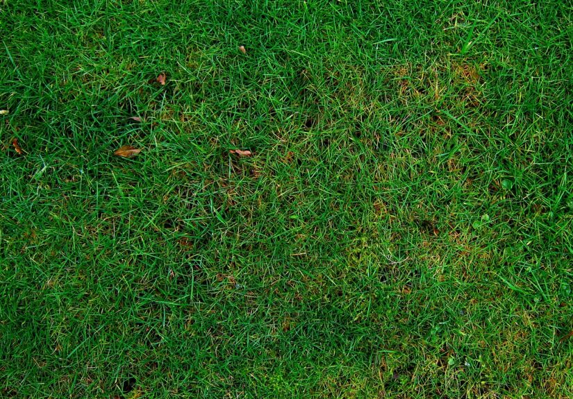 m&eacute;canicien &eacute;co-responsable offrant des services de r&eacute;paration automobile respectueux de l'environnement, alliant expertise technique et engagement durable.