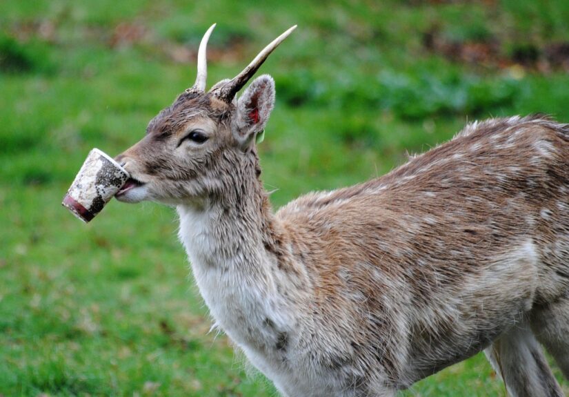 d&eacute;couvrez l'impact &eacute;cologique et les enjeux environnementaux li&eacute;s &agrave; nos activit&eacute;s pour mieux pr&eacute;server la plan&egrave;te.