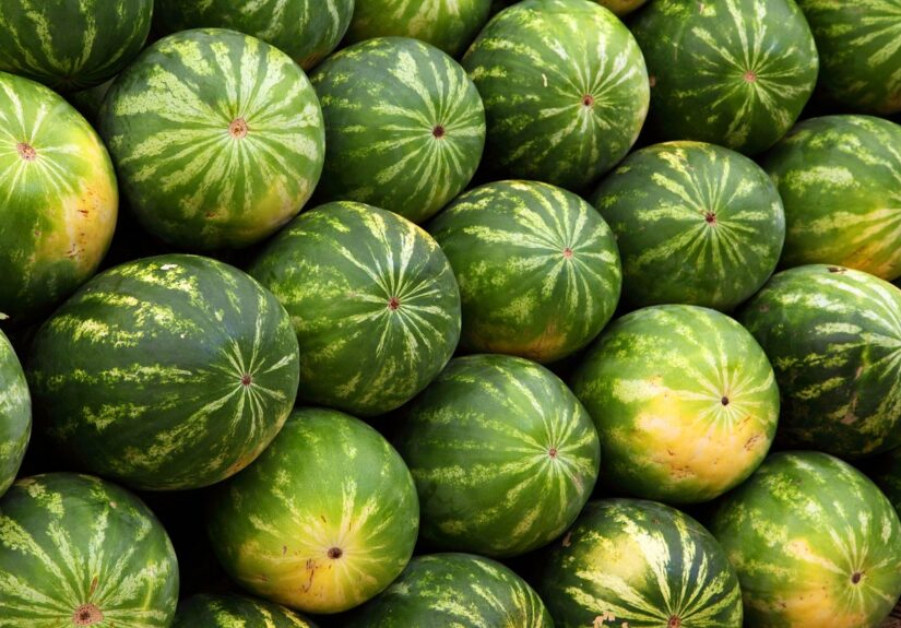 d&eacute;couvrez notre s&eacute;lection de fruits et l&eacute;gumes biologiques, frais et cultiv&eacute;s naturellement pour une alimentation saine et savoureuse.