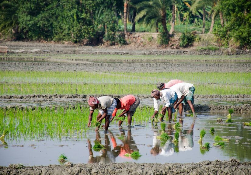 d&eacute;couvrez les pratiques d'agriculture durable qui pr&eacute;servent l'environnement, favorisent la biodiversit&eacute; et assurent une production alimentaire responsable pour les g&eacute;n&eacute;rations futures.