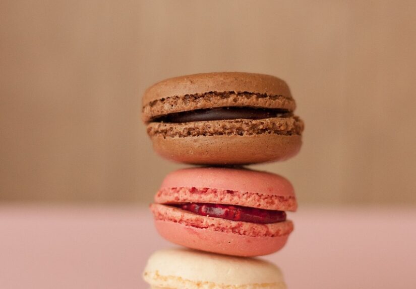 d&eacute;couvrez les techniques de culture de la vanille, de la plantation &agrave; la r&eacute;colte, pour produire cette pr&eacute;cieuse orchid&eacute;e aromatique.