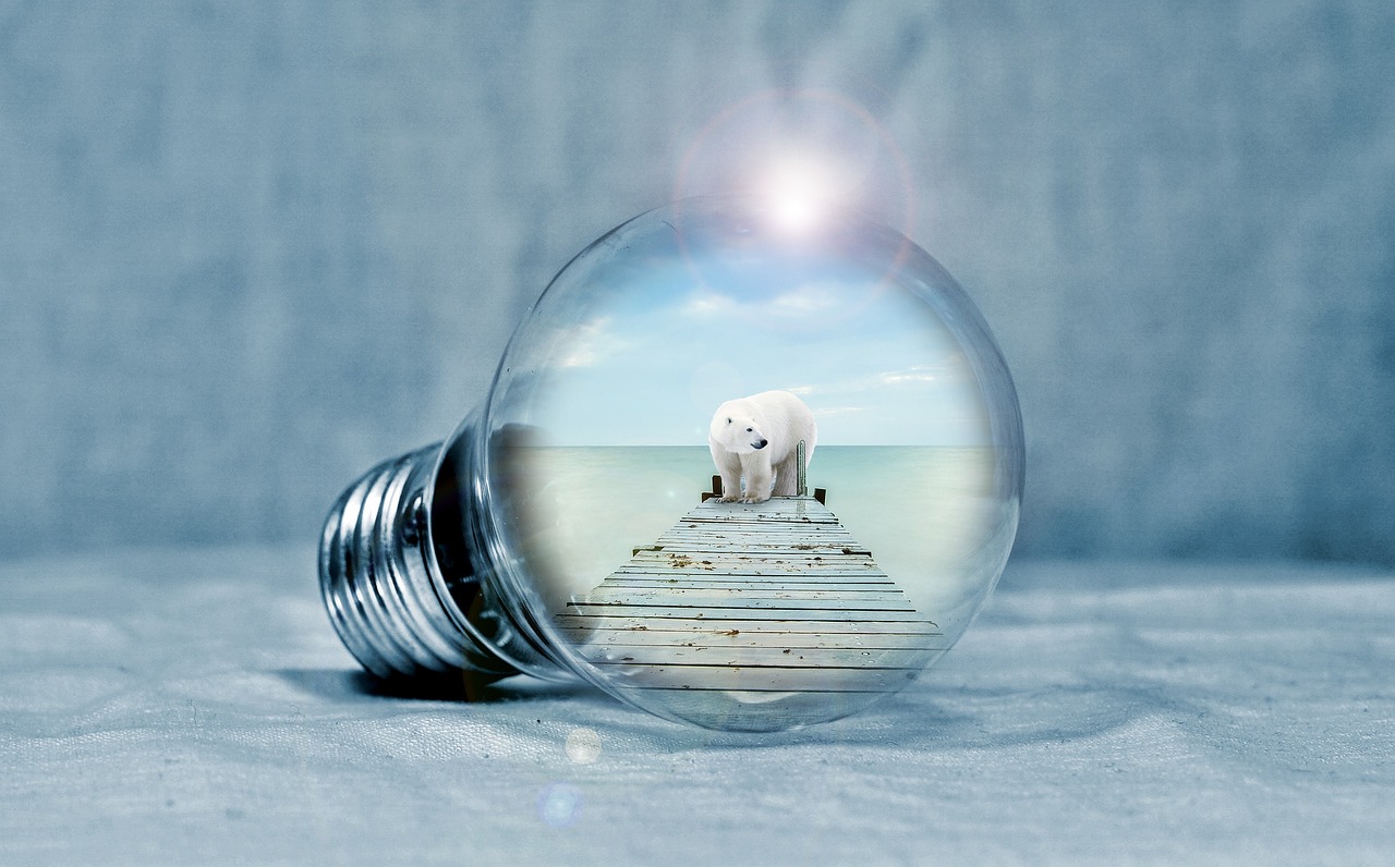 d&eacute;couvrez les enjeux et solutions de la transition &eacute;nerg&eacute;tique pour un avenir durable, alliant efficacit&eacute;, innovation et respect de l'environnement.