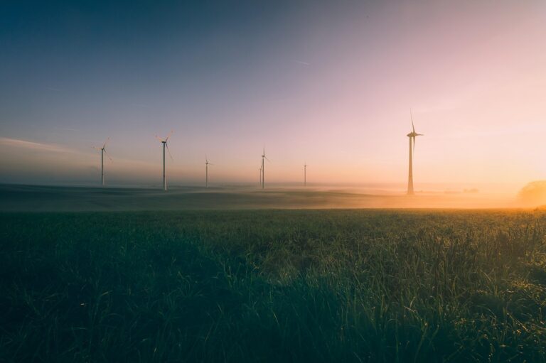 d&eacute;couvrez les enjeux et solutions de la transition &eacute;nerg&eacute;tique pour un futur durable et respectueux de l'environnement.