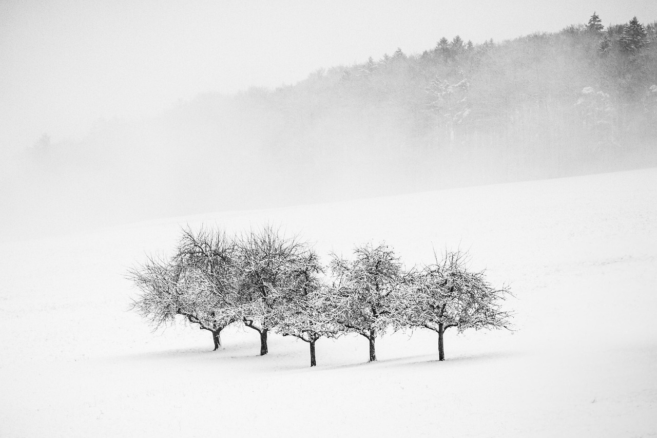 d&eacute;couvrez le minimalisme : un art de vivre &eacute;pur&eacute; qui valorise la simplicit&eacute;, la fonctionnalit&eacute; et l'essentiel pour un quotidien plus serein et harmonieux.