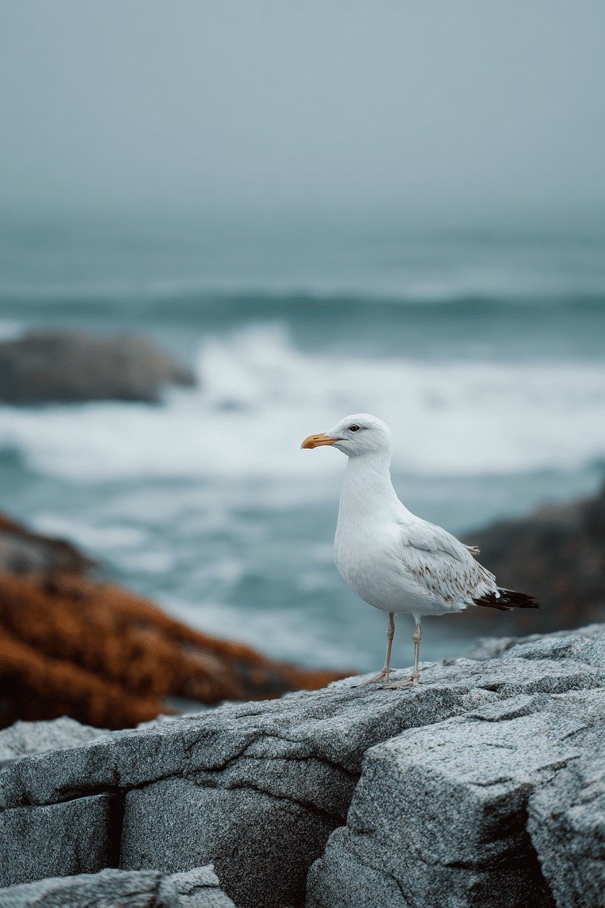 d&eacute;couvrez le minimalisme : un art de vivre qui privil&eacute;gie l'essentiel, la simplicit&eacute; et le d&eacute;sencombrement pour un quotidien plus harmonieux et serein.