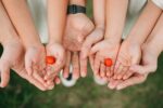 d&eacute;couvrez nos supports pour tomates robustes et pratiques, id&eacute;aux pour soutenir vos plants et favoriser une croissance saine et efficace.