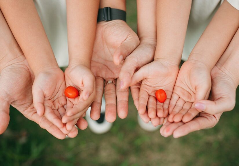 d&eacute;couvrez nos supports pour tomates robustes et pratiques, id&eacute;aux pour soutenir vos plants et favoriser une croissance saine et efficace.